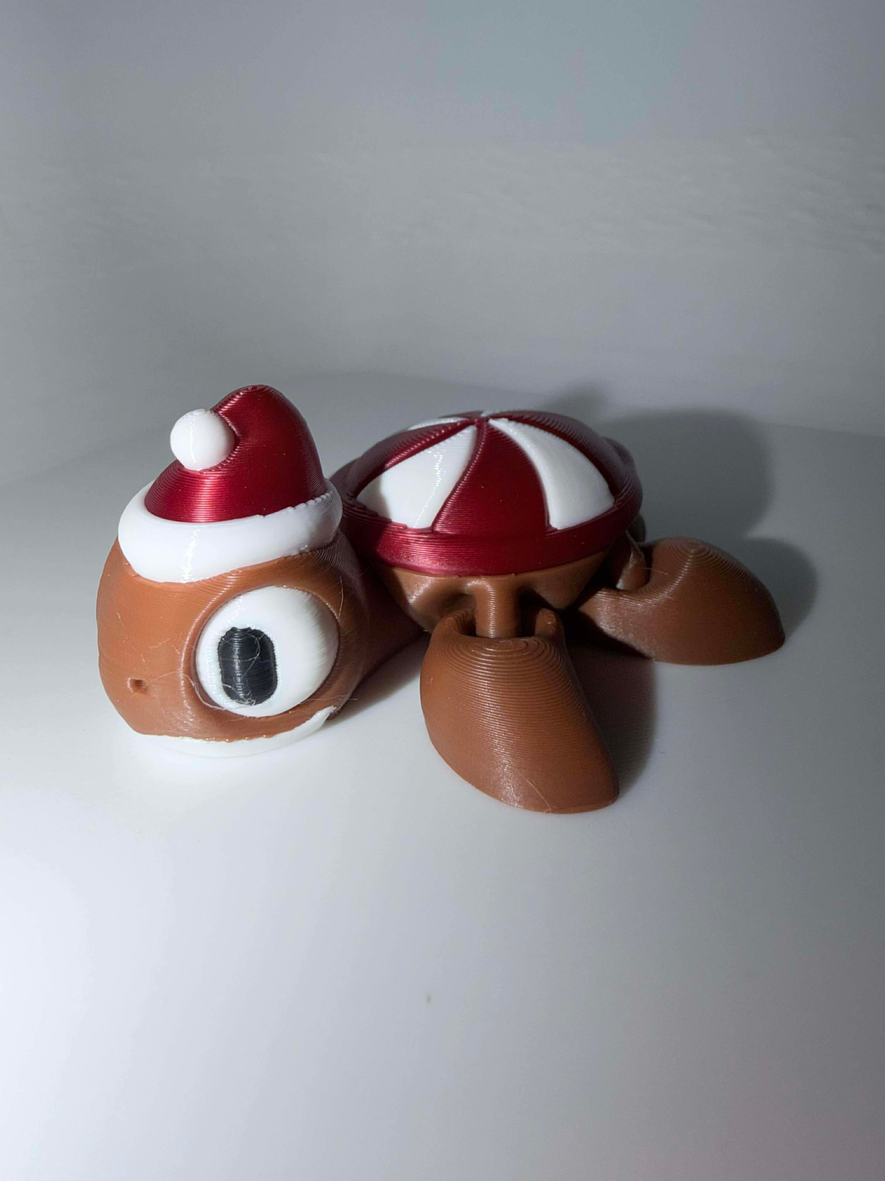 Sea Turtle with Santa hat