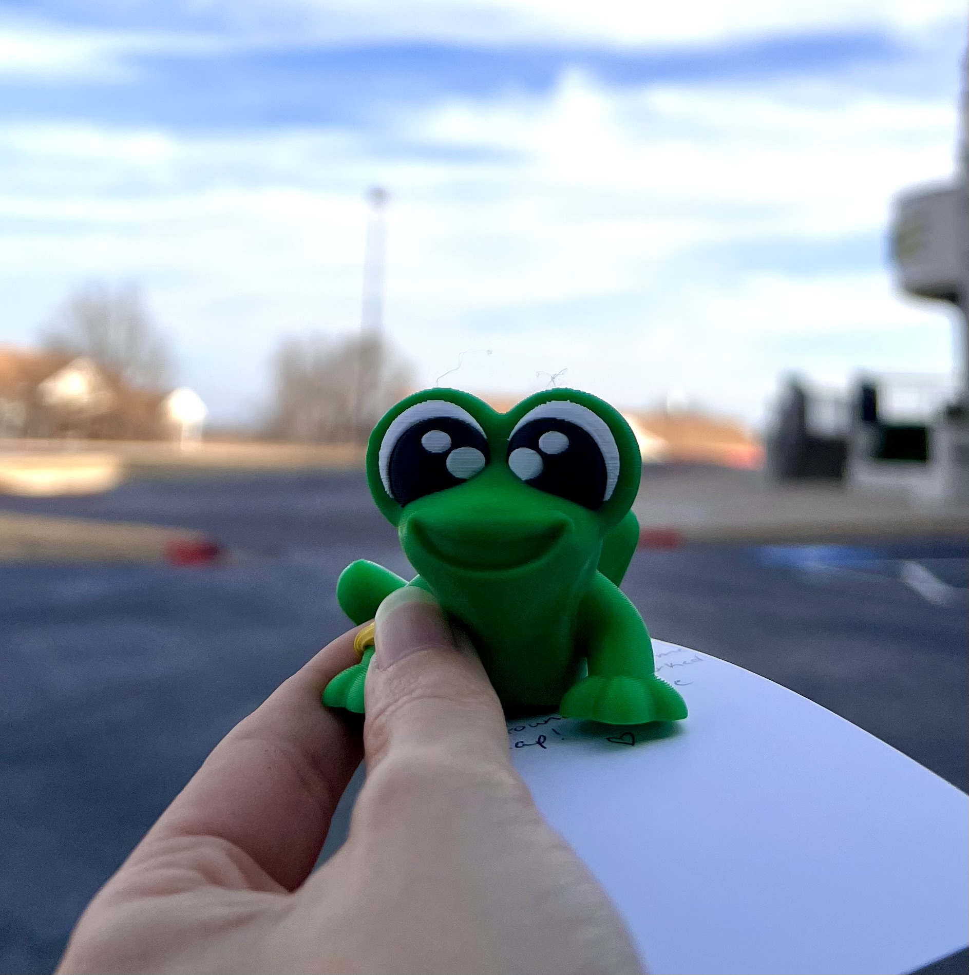 Giant Happy Flexi Frog