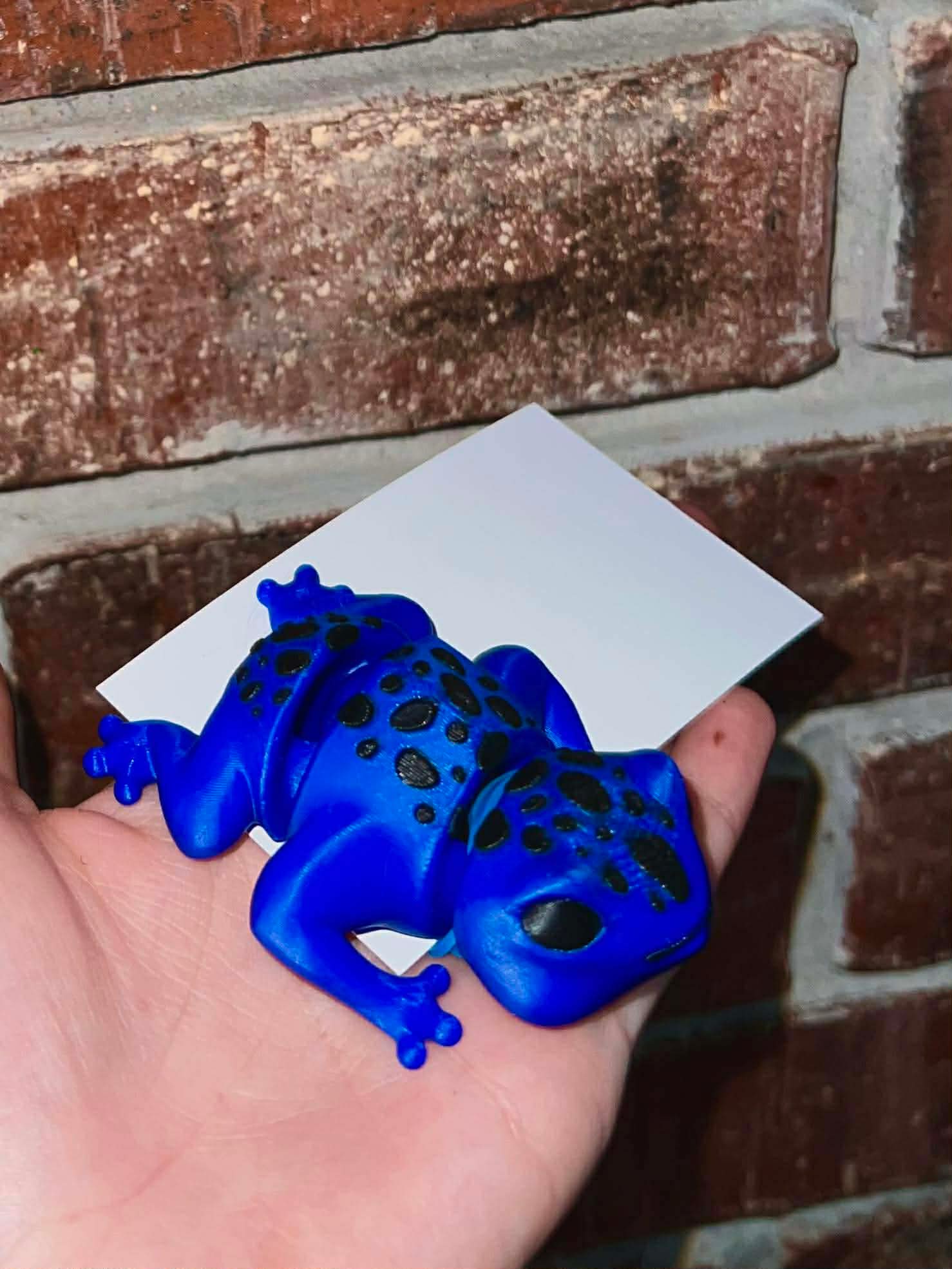 Flexi-Blue Dart Frog