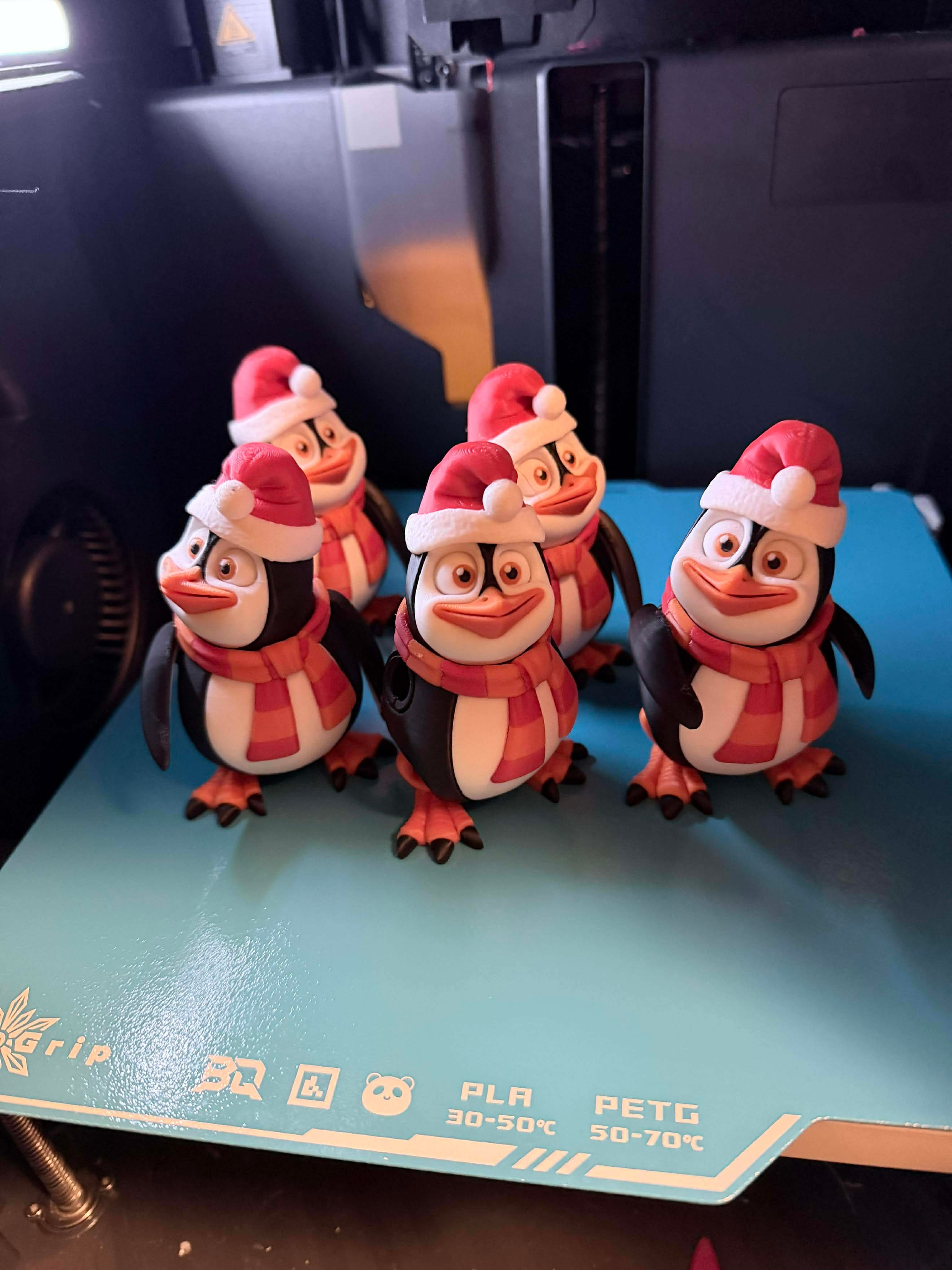Penguin with Santa hat